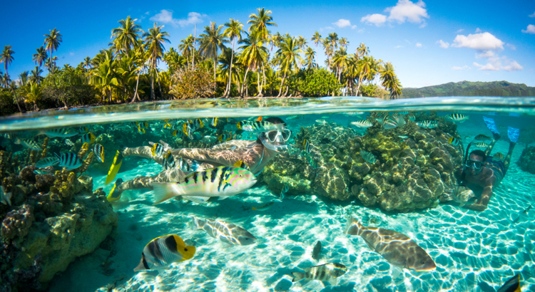 Tahiti Moorea Schnorcheln